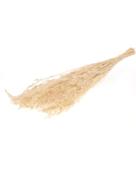 HIERBA ALFA BLANCA BLANQUEADA