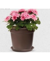MACETA ORIGINAL 19CM MARRÓN