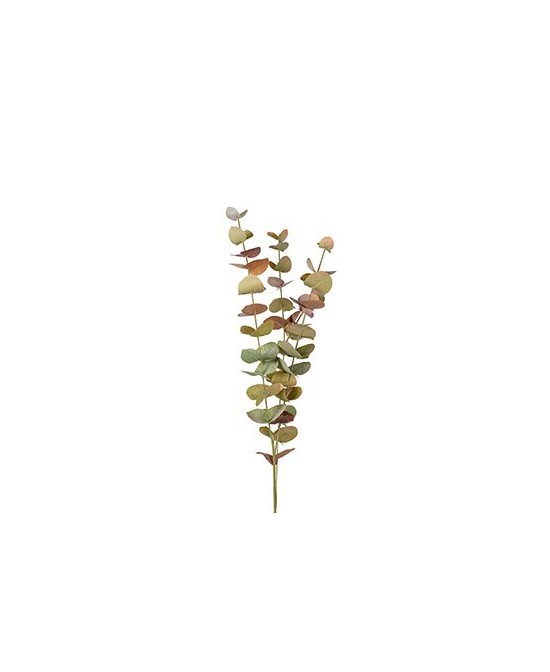 EUCALYPTUS H60CM