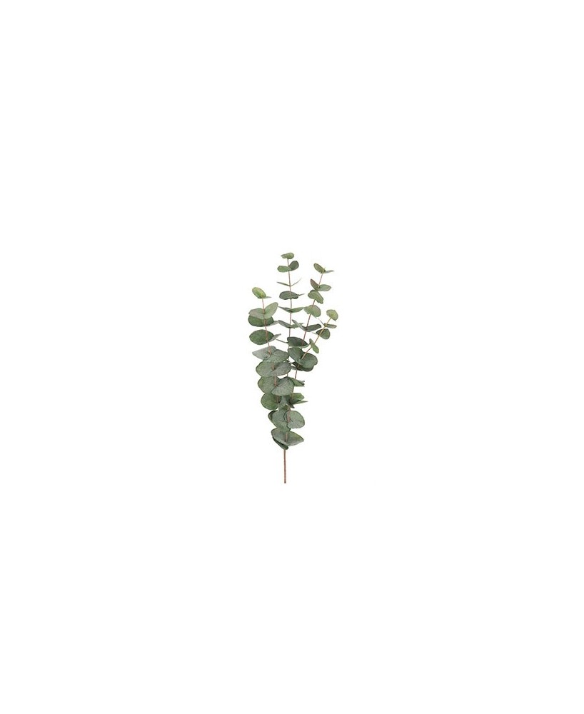 EUCALYPTUS H60CM