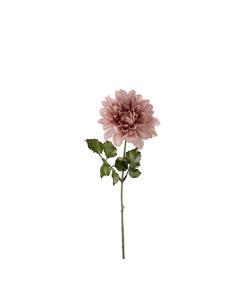 DAHLIA H45CM