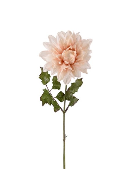 DAHLIA