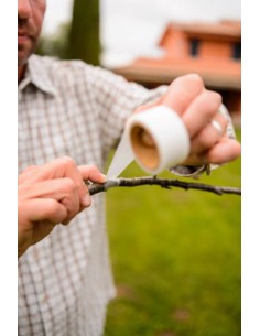 CINTA INJERTO. 25MM STOCKER 2