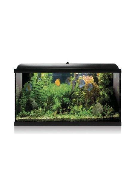Kit AQUA LED PRO 100 Negro - Acuario de 100L con Iluminación LED y Filtro | Endanea Garden