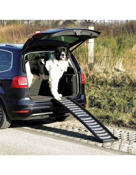 RAMPA PET PLASTICO, 39X160CM