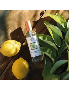 PERFUME DE INTERIOR 100ML BERGAMOTA FRESCA 2