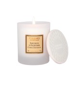 VELA PERFUMADA 180G INFUSION DE CITRICOS