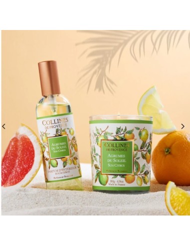 VELA PERFUMADA 100ML CITRICOS DEL SOL