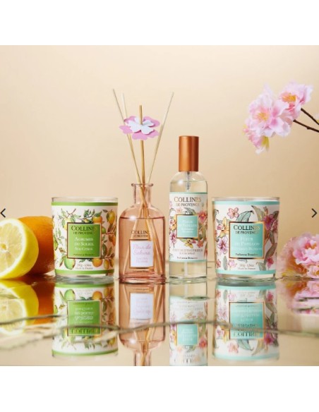 VELA PERFUMADA 100ML CITRICOS DEL SOL