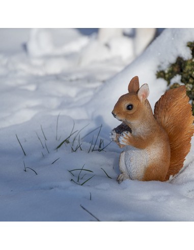 Ardilla Decorativa Talla S Diseño Realista para Hogar y Jardín