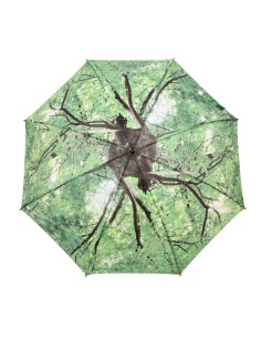 Paraguas Hojas Verde | Protección y Estilo Natural para Días de Lluvia 2