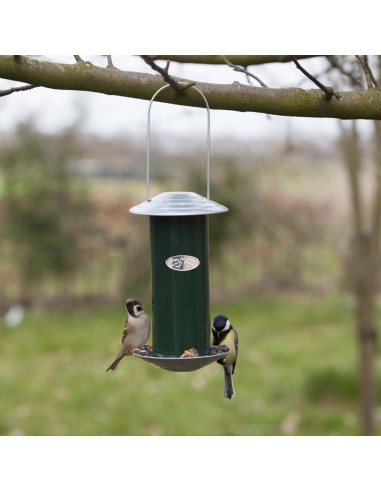 Dispensador de Semillas Verde Herramienta Práctica para Jardinería