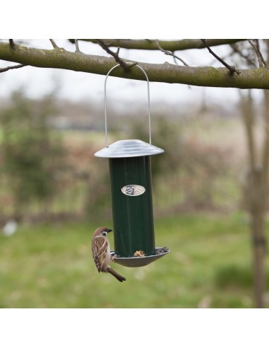 Dispensador de Semillas Verde Herramienta Práctica para Jardinería