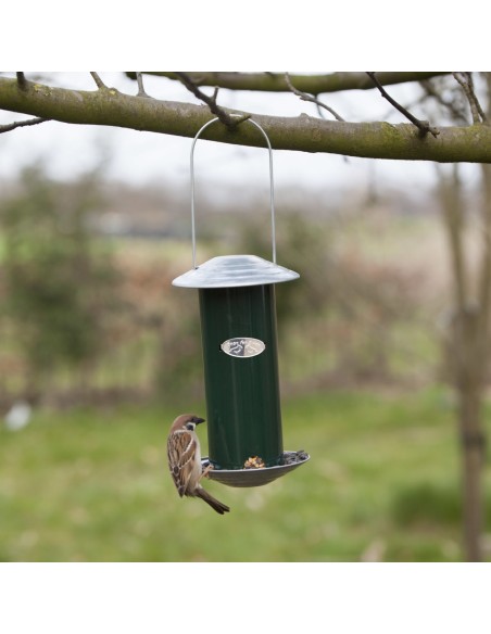 Dispensador de Semillas Verde Herramienta Práctica para Jardinería