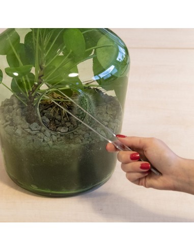 Pinza Terrarium 1.4x2.2x26.6 cm herramienta para cuidado y mantenimiento de terrarios