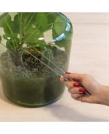 Pinza Terrarium 1.4x2.2x26.6 cm herramienta para cuidado y mantenimiento de terrarios