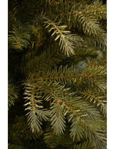 Pino Ardley Verde 230 cm - Árbol de Navidad Realista y Frondoso