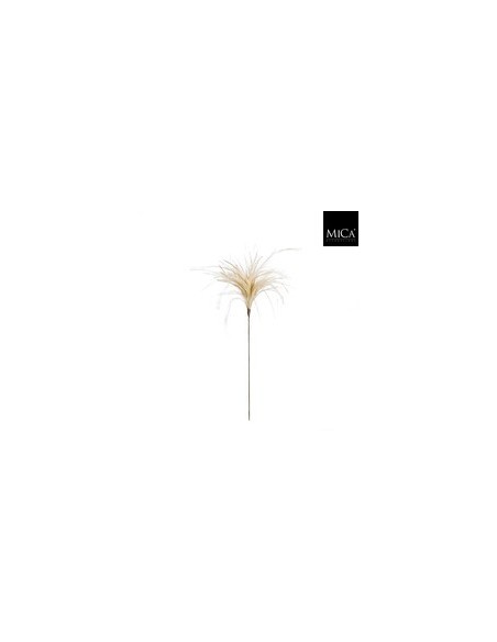 Pluma Pick L55xW10xH3cm  Detalle Natural para Decoración y Manualidades | Endanea Garden