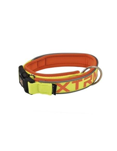 Collar X-TRM Neon Flash Limón 15mmx28-35cm | Collar Ajustable para Perros Pequeños