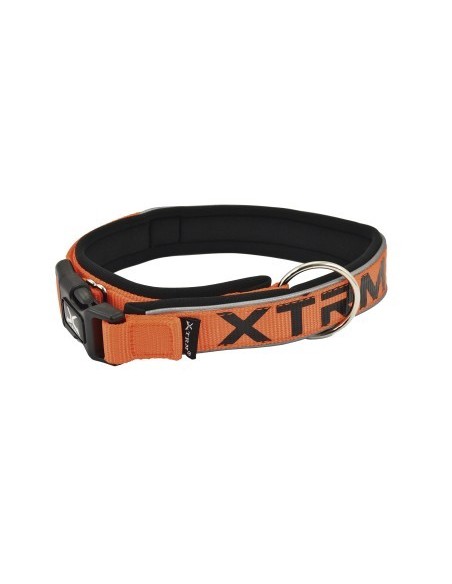 Collar X-TRM Neon Flash Naranja 25mmx45-55cm | Collar para Perros Medianos Seguro y Visible