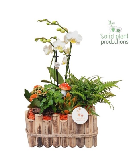 COMPO AUTMN IN WOODEN PLANTER M30 composición floral otoño jardinera madera