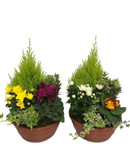 Fertilizante COMPO Outdoor A3 Middle M27 para plantas de exterior cuidado eficaz