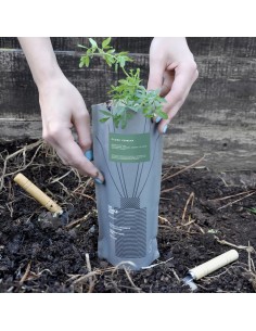 DIFUSOR BASIC COMPOST PACK CEDRO VERBENA 2