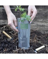 DIFUSOR BASIC COMPOST PACK CEDRO VERBENA