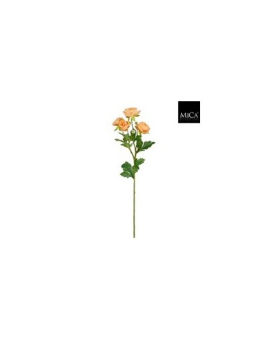 RANUNCULJUS SALMON 62CM