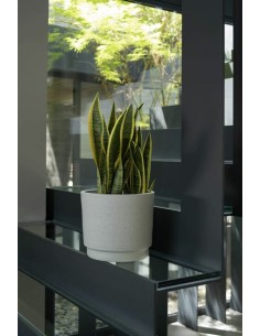 Maceta Xamot Blanco 28x25 cm  Elegancia Moderna para Interior y Exterior | Endanea Garden