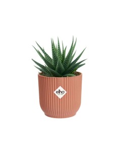 MACETA  MINI 7 ROSA 2