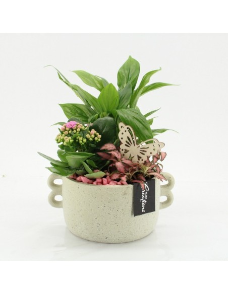 Composición Floral Compo Essentials ESCR 2539RZ M20 - Flores Decorativas en Maceta