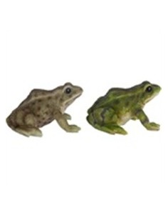 Ranas Decorativas 12x13.7x7.7 cm para Jardín Terraza e Interior