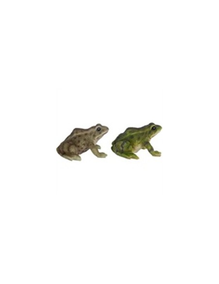 Ranas Decorativas 12x13.7x7.7 cm para Jardín Terraza e Interior