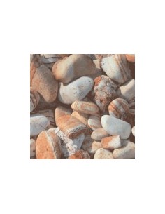 BOLO RIAINBOW 100-300 KG