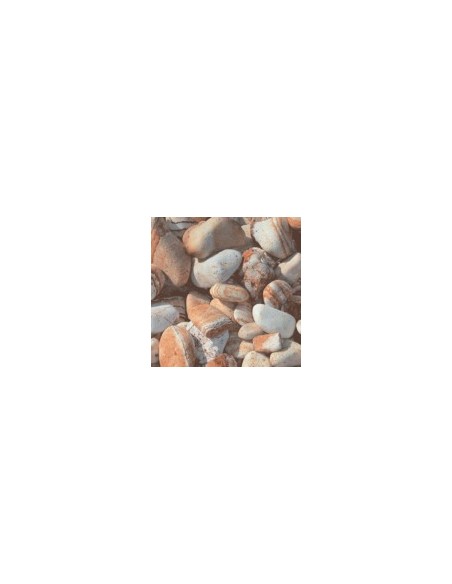 BOLO RIAINBOW 100-300 KG