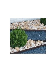 BOLO RIAINBOW 100-300 KG 2