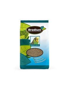 BRADIUM MIXTURA PERIQUITO BIG 4000GR APROX