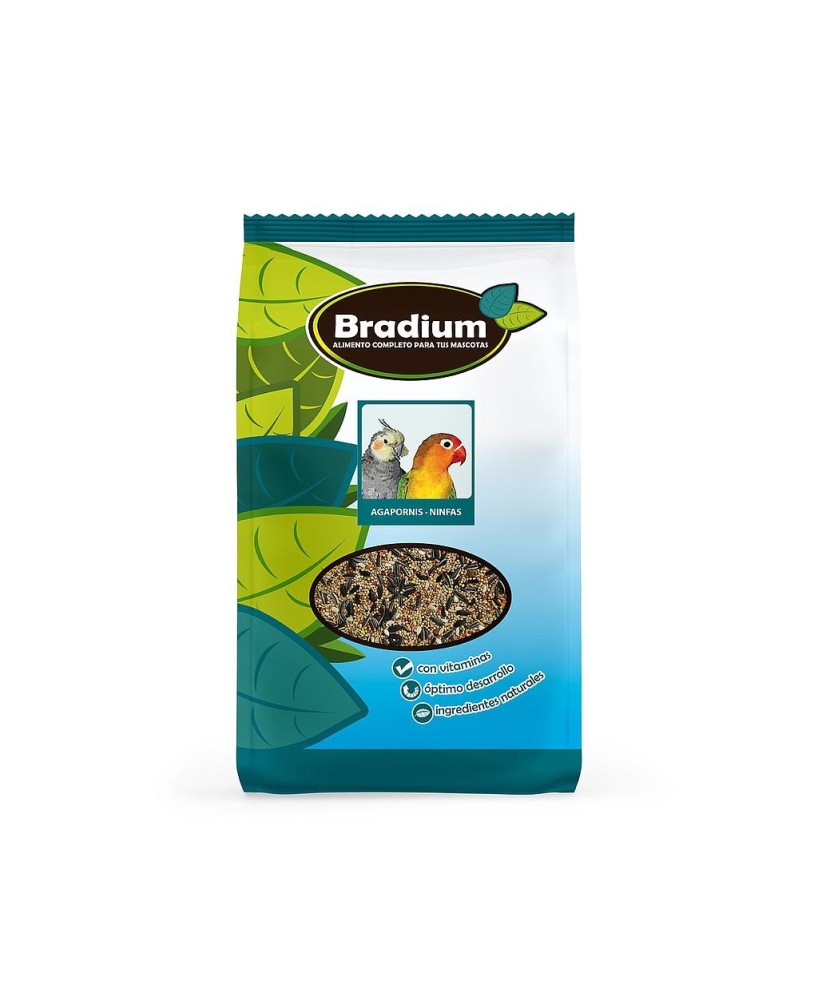 BRADIUM MIXTURA AGAPORNIS Y NINFAS BIG 4000GR APROX
