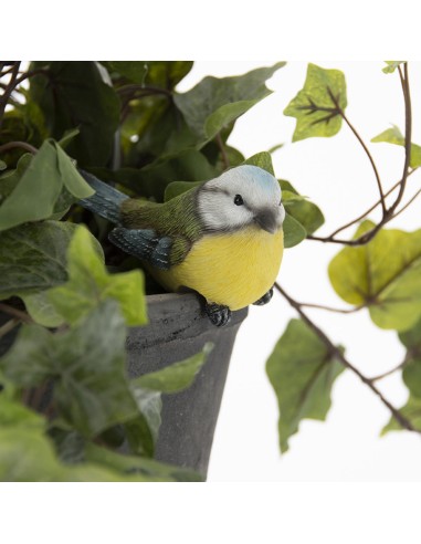 Maceta Pájaro 4,4x10,3x6,1 cm Decorativa para Plantas Interiores y Jardín