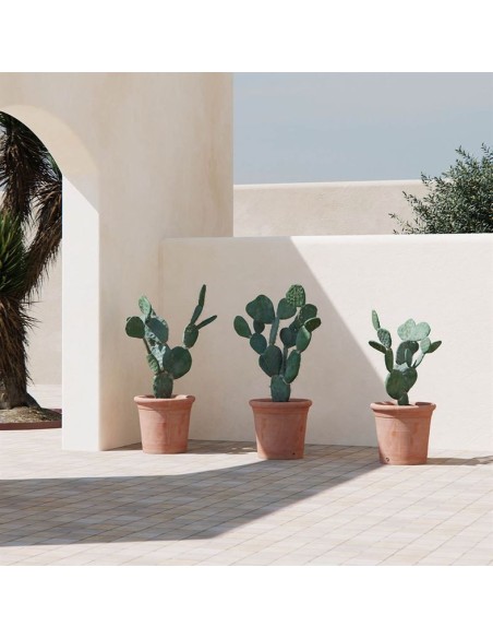 Maceta Cónico Mediterráneo 55x48cm Terracota | Diseño Artesanal para Jardín e Interior