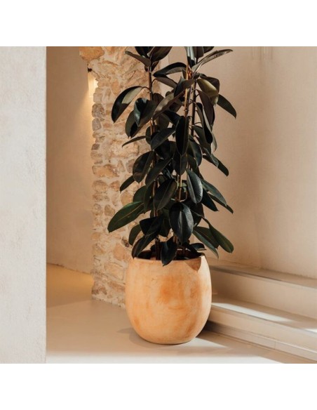 Campana Ovo 40x40cm Terracota | Decoración Mediterránea para Jardín e Interior