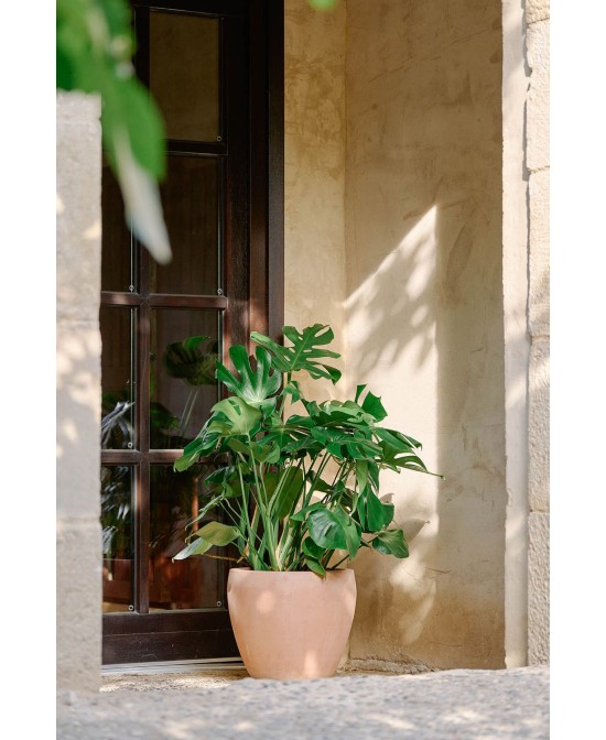 Maceta Campana Delta Antic Terracota 38x34cm Rústica y Decorativa