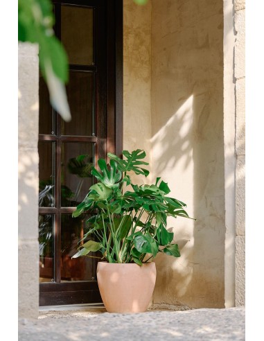 Maceta Campana Delta Antic Terracota 38x34cm Rústica y Decorativa