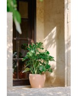 Maceta Campana Delta Antic Terracota 38x34cm Rústica y Decorativa