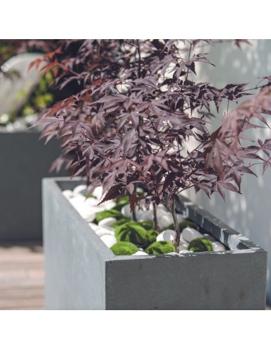 Maceta Cubo Gypse 40cm color topo resistente y moderna para interiores y exteriores