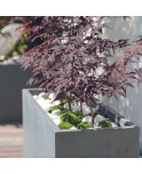 Maceta Cubo Gypse 40cm color topo resistente y moderna para interiores y exteriores