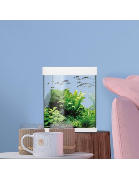 Kit Nano AquaLED 10L - Acuario Compacto con Iluminación LED y Filtración | Endanea Garden