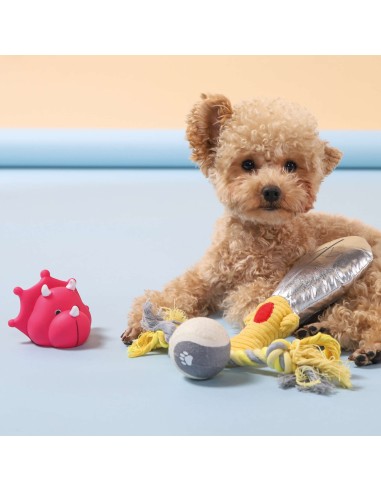 Juguete Premier Set Caballero para Perros | Diversión Medieval - Endanea Mascotas