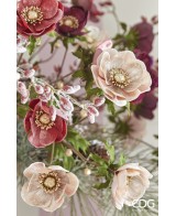 Anémona de Terciopelo Artificial Rosa Mix H80 cm | Endanea Garden